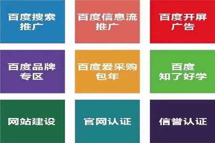百度搜索推广案例解析：优化策略大揭秘